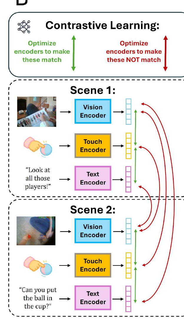 Model architecture